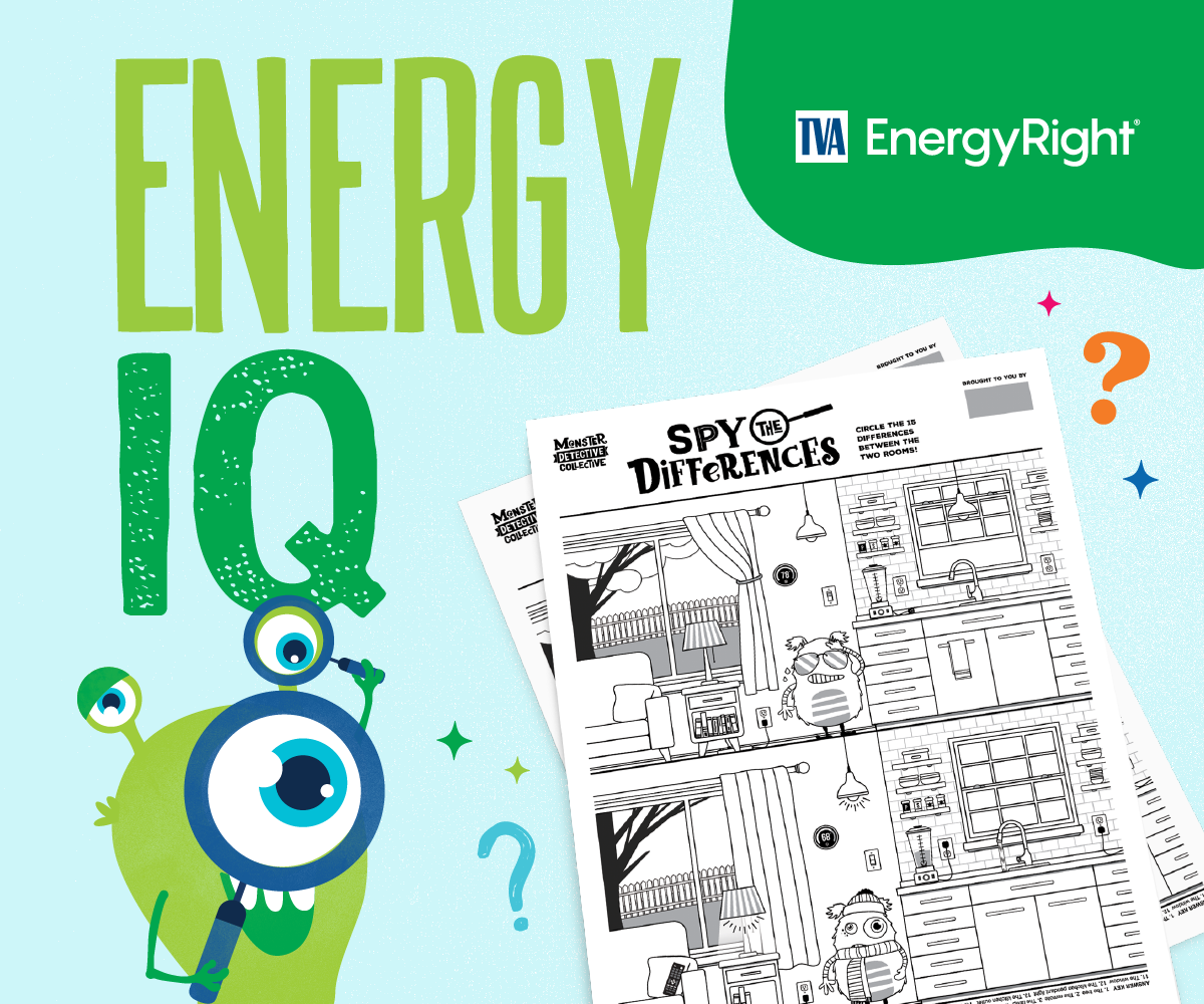 Energy IQ Program